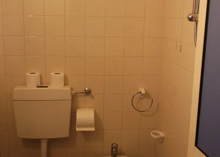 Hotel Vianello 3*